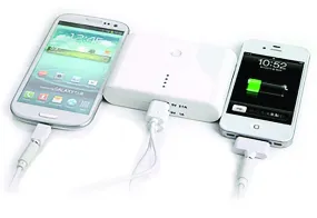 Back Up Battery Power Bank (#142)