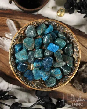 Blue Apatite Tumbled