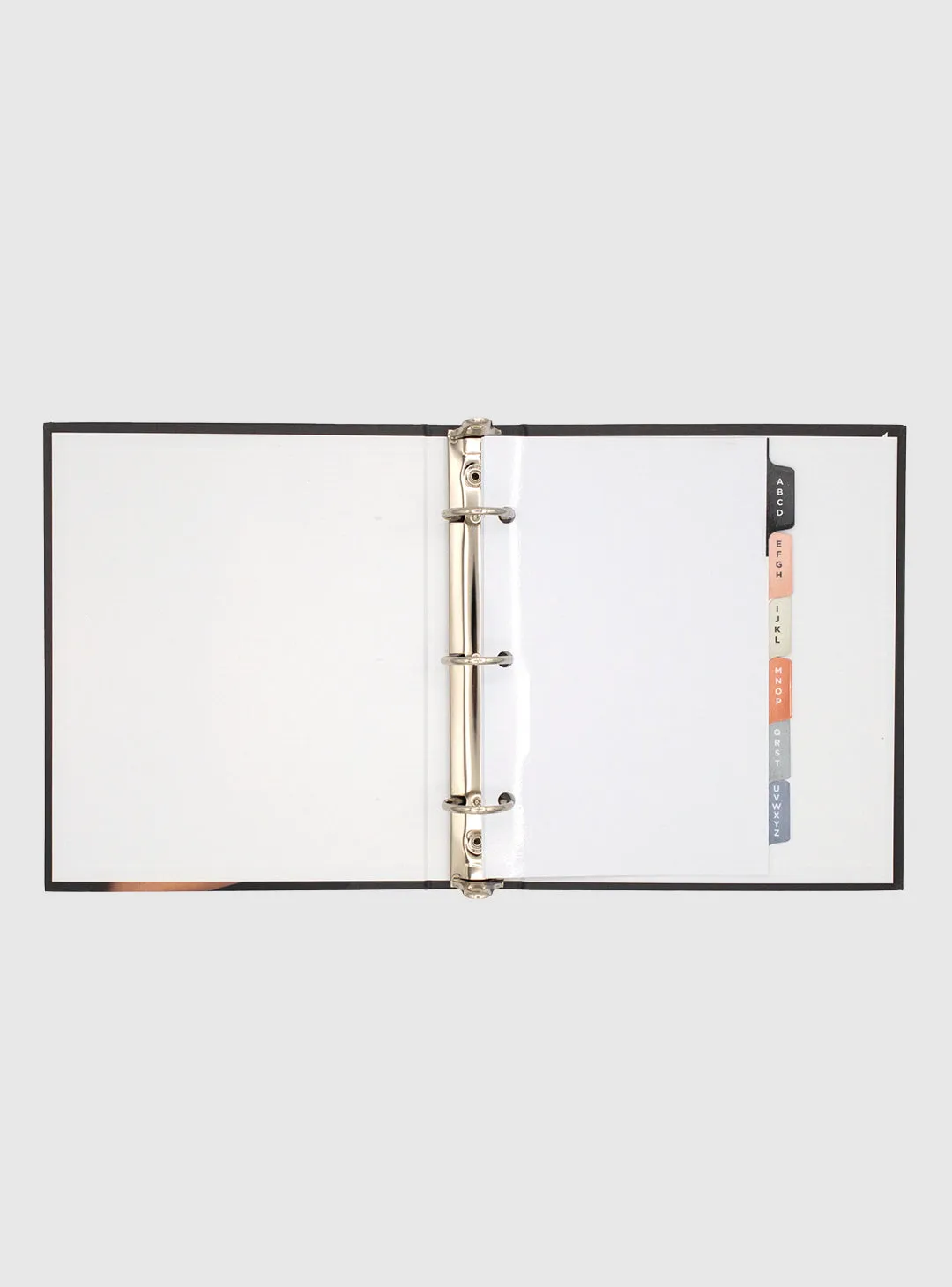 Client Data Organizer Binder