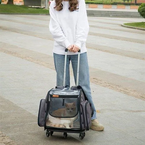 Foldable Transparent Breathable Traveling Cat Carrier With Water Supply